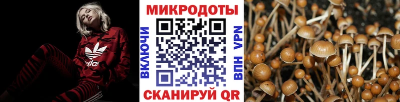 Псилоцибиновые грибы мицелий  цены   Майский 